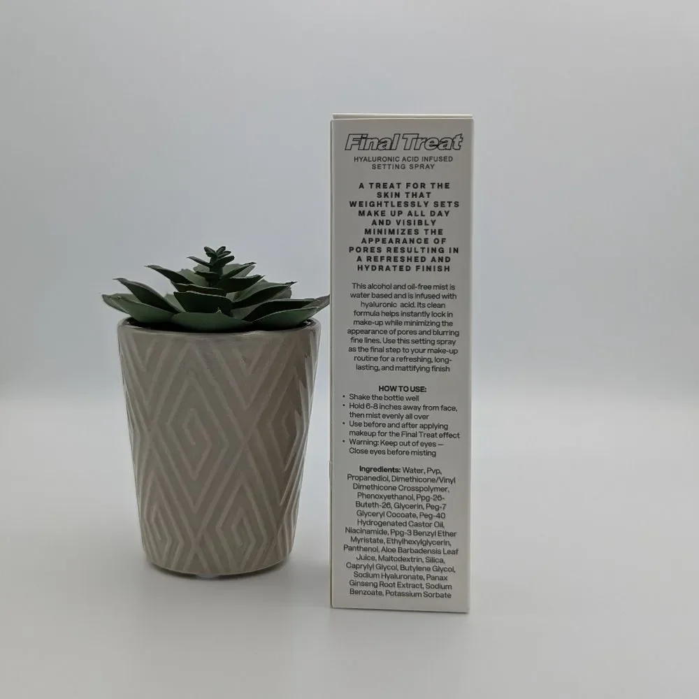 TYS Beauty Final Treat Setting Spray New